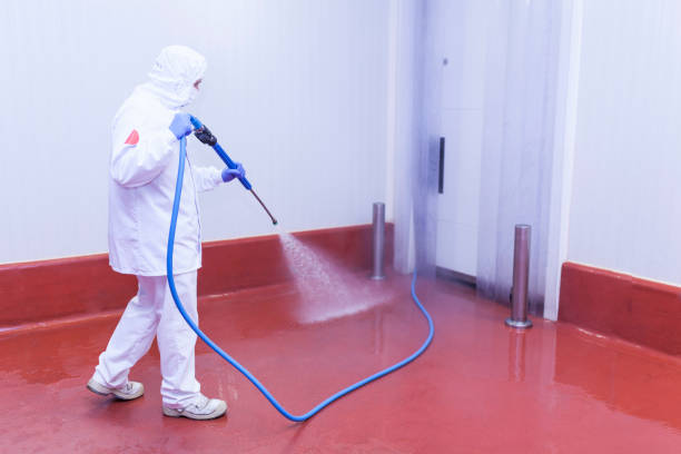 Best House Exterior Washing  in Industry, PA